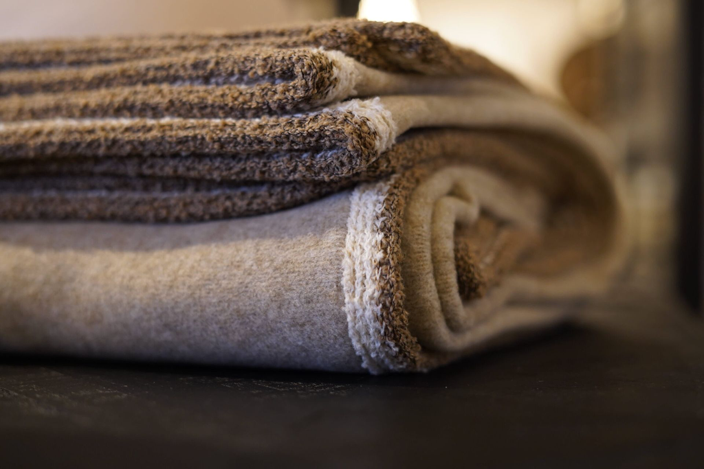 Dolly-mud-plaid-170x215_Indoor-Plaids_2791_1-4.webp