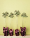 unnamed 2.webp