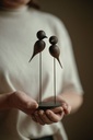 Ambois-59-8894 - by Chess Bonte_websize.jpg