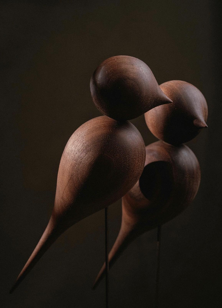 Lucky Birds - Ambois